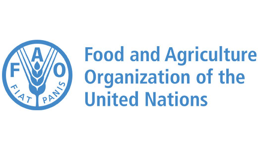Cash Out | Food and Agriculture Organization (FAO)