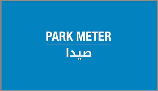 Cash to Business | Saida Park Meter