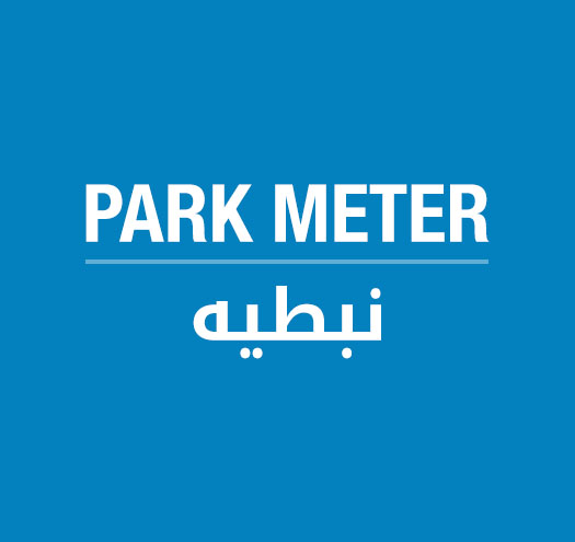 Nabatieh Park Meter